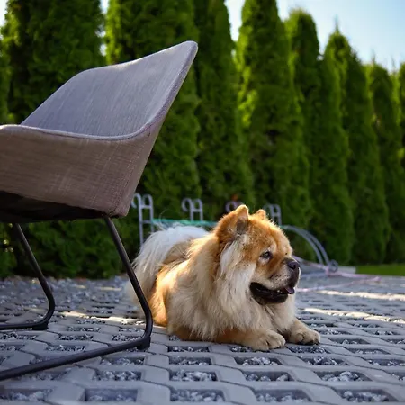 Morska Olivka * Puck