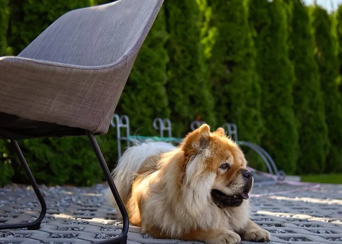 Morska Olivka * Puck